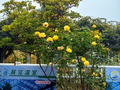 -国家植物园南园