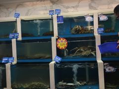 水产区-品海楼·大连海胆锅贴馆(东港店)
