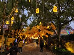 -横店影视城梦幻谷园区