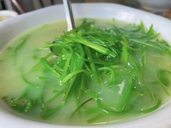 -马帮菜馆·美味野生菌