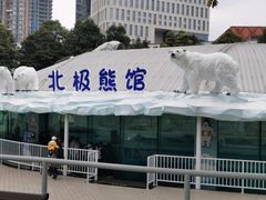 -海合安成都极地海洋公园