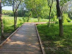 -东郊湿地公园