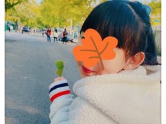 -三里屯东五街银杏大道