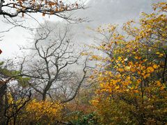 -罗田天堂寨风景区