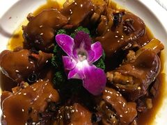 -Local泰莲庭(虹鳟鱼店)