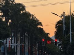 -林氏圆子(胞波路店)