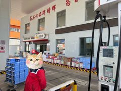 -中国石化益特诺加油站