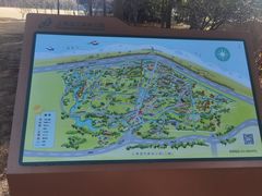 -上海滨江森林公园
