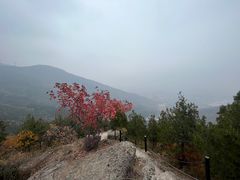 -北京十三陵国家森林公园蟒山景区