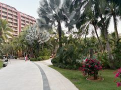 -三亚湾海居铂尔曼度假酒店