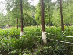 -重庆彩云湖湿地公园