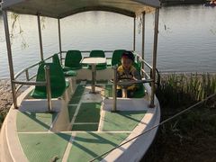 -上海长兴岛郊野公园