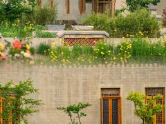 -盐城丹顶鹤湿地生态旅游区