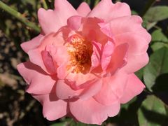 -禹城市禹王亭博物馆