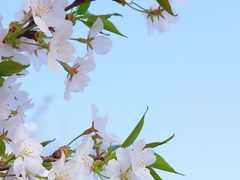 -永安水煮活鱼·仪征土菜院子