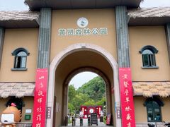 -黄贤森林公园