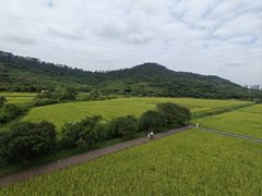 -风云岭森林公园