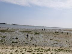 -北海金海湾红树林生态旅游区