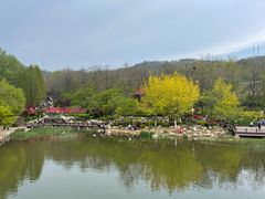 -大连植物园