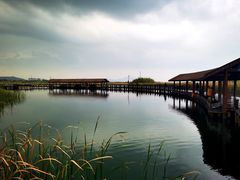 -苏州太湖湖滨国家湿地公园