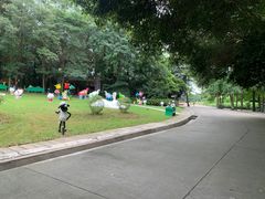 -保利石象湖景区