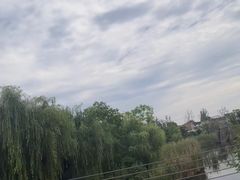 -苏州太湖国家湿地公园