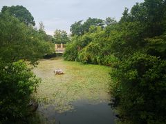 -桃花岛景观公园