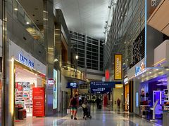 -达拉斯 沃斯堡国际机场