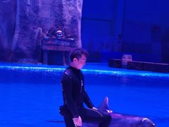 -华夏文旅海洋公园