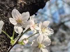 -星湖街(地铁站)