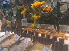 -川骄海鲜自助(河东店)