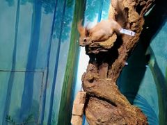 -华夏文旅西安度假区