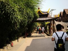 -呀路古热带植物园-恐龙馆