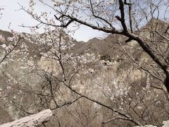 -圣莲山风景区