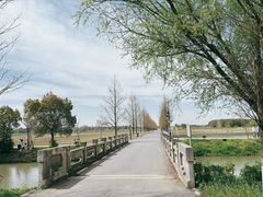 -嘉北郊野公园
