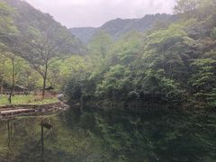 -白云源风景区