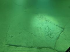 -白鹤梁水下博物馆
