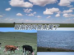-呼伦湖旅游景区