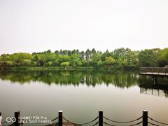 -上海怡沁园度假酒店