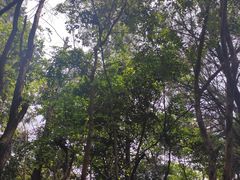 -青龙山国家森林公园