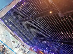 -千岛蚝高压锅生蚝·人参火锅(白云万达店)