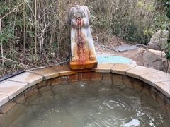 -徂徕山森林康养度假谷温泉