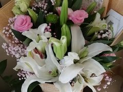 -Dark Horse·黑马蛋糕·低脂·低糖淡奶(金匙望湖大厦店)