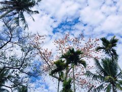 -广百家超市(大东海店)