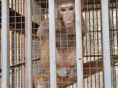 -第五季龙水凤港生态露营农场