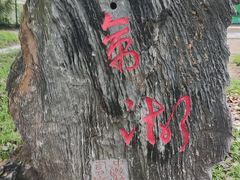 -秦皇岛野生动物园