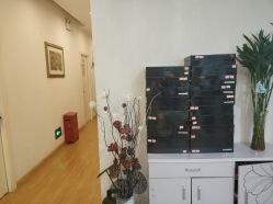 -魔型社
