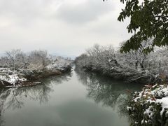 -西溪国家湿地公园