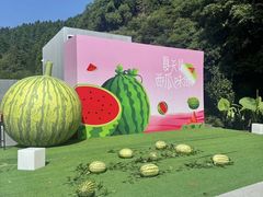 -玉苍山国家森林公园