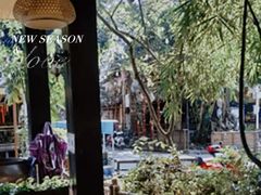 -抚仙湖生态石锅鱼野生菌(告庄店)